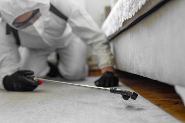 Professional Termite Control technician working in Colfax, WA