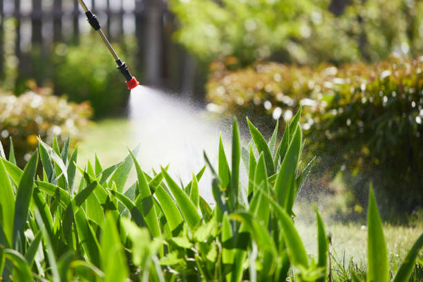 24/7 Emergency Termite Control experts in Colfax, WA