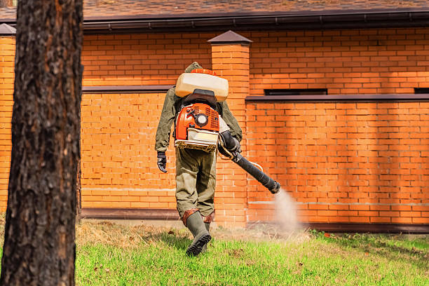 Top rated local Termite Control specialists in Colfax, WA